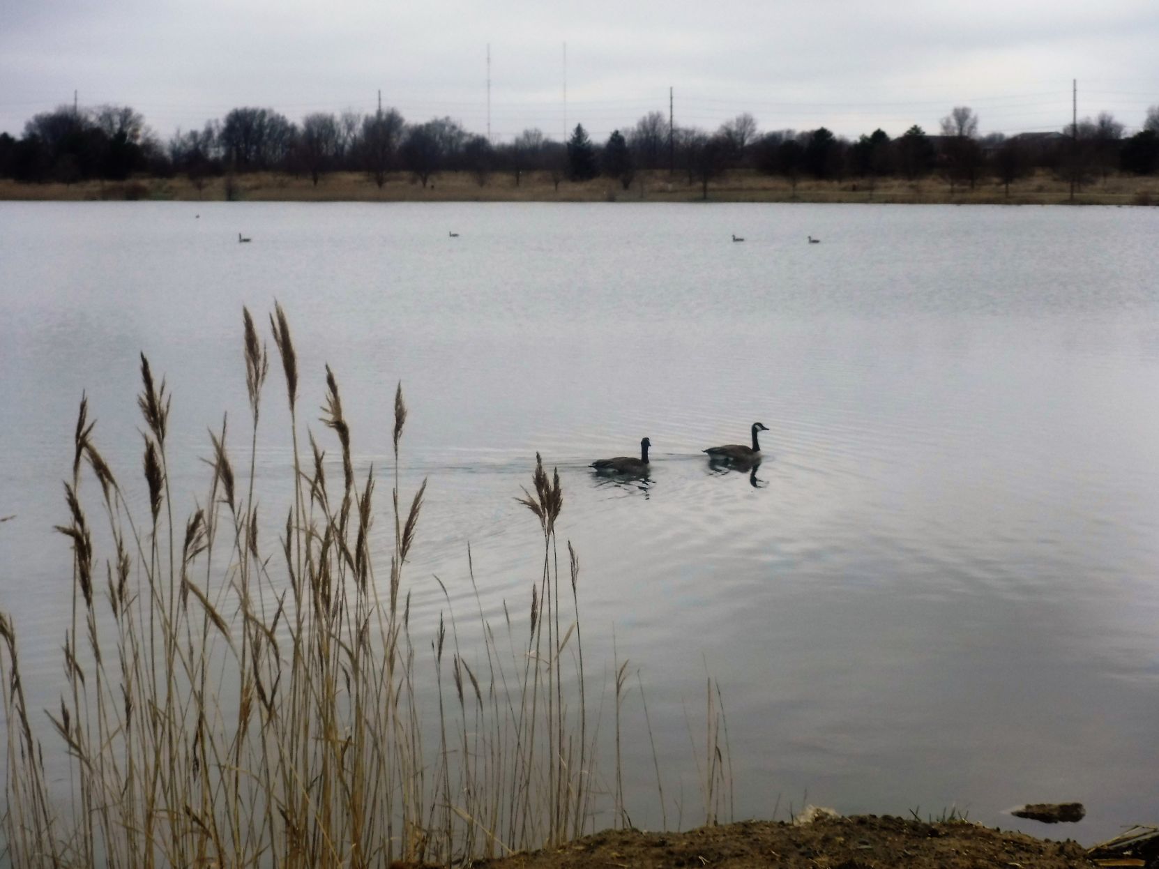 White Oak Lake
